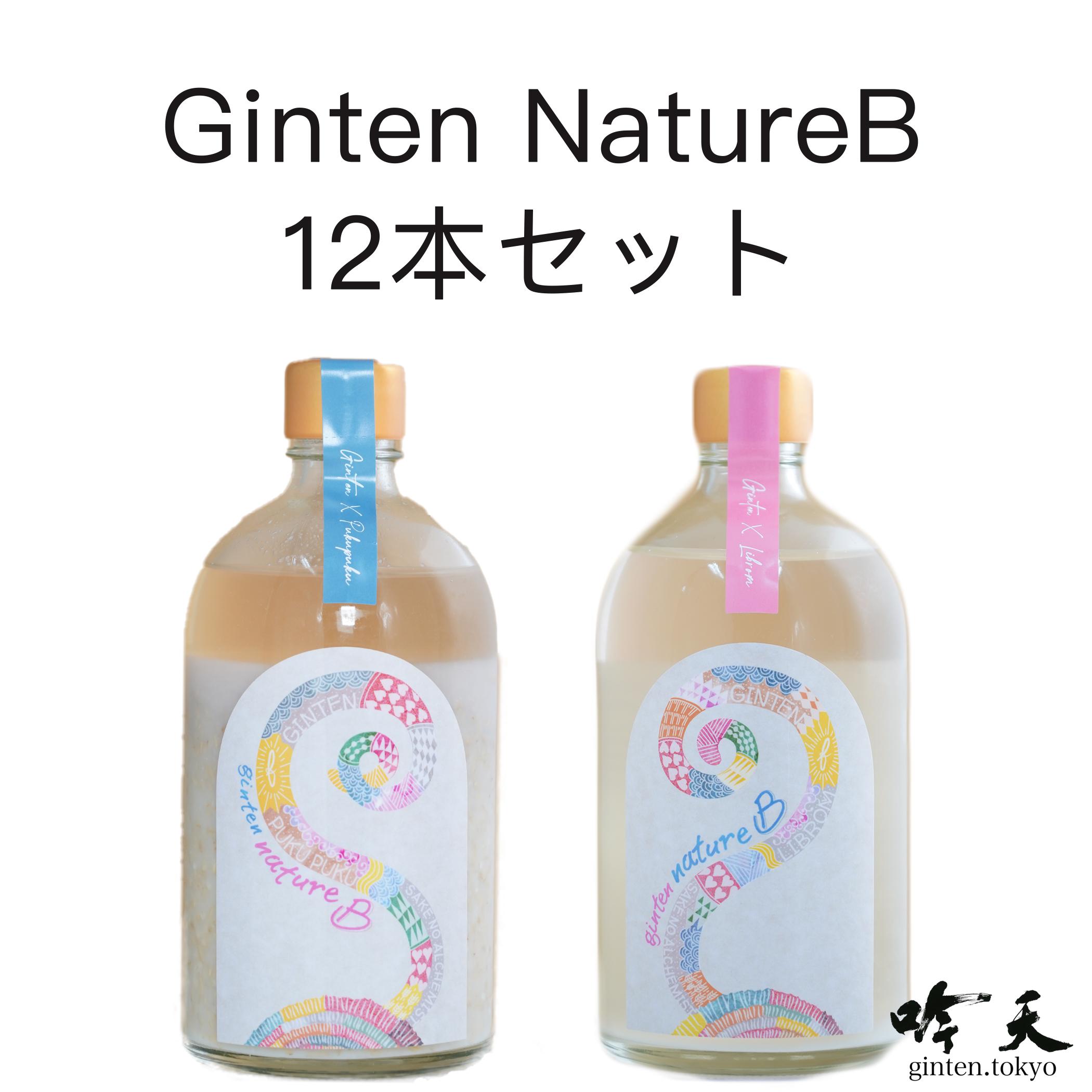 GINTEN NatureB クラフトサケ12本セット