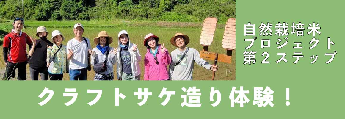 米からの酒造りプロジェクト、収穫の秋！