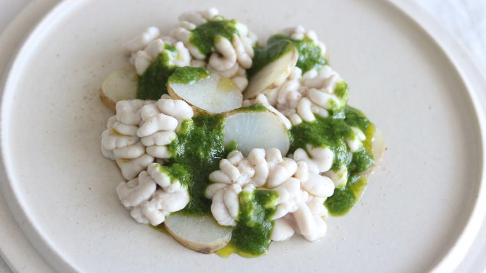 白子と菊芋　春菊のサルサヴェルデ