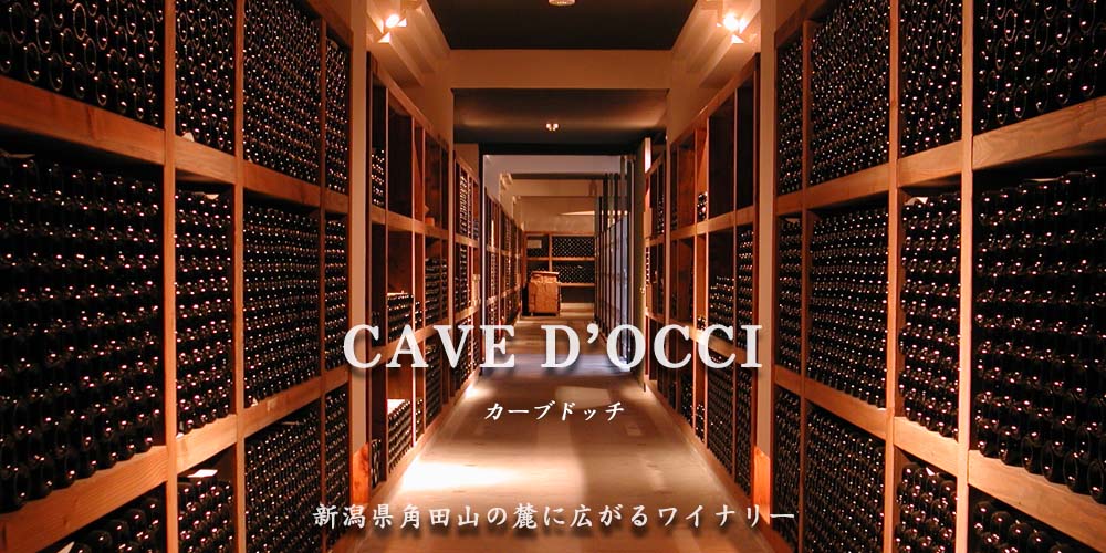 新潟県角田山の麓にある新興ワイナリー「カーブドッチ」、CAVE D'OCCI
